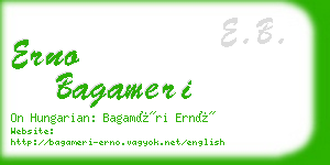 erno bagameri business card